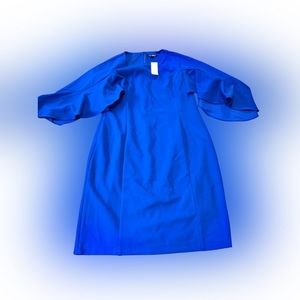 NEW Roz & Ali Royal Blue Dress Size 12 Dress Barn Ruffle Sleeves NWT